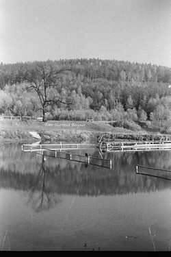 Kuhteiche