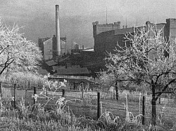 Berggold 1937